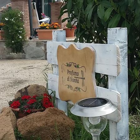 Profumo Di Nonna Ciampino Exterior foto